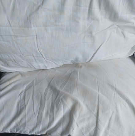 Photo of free 3 x Pillows and 1 x cushion pillow (Hertford Heath SG13) #4