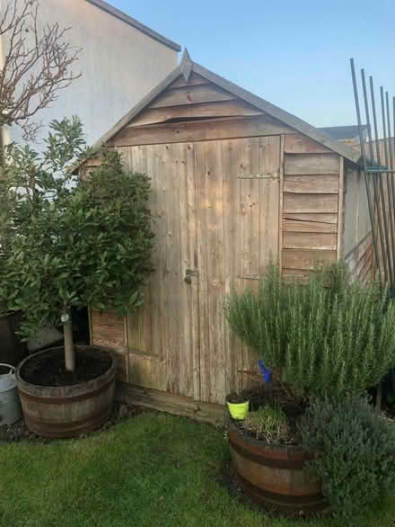 Photo of free Garden Shed (Gidea Park RM2) #1