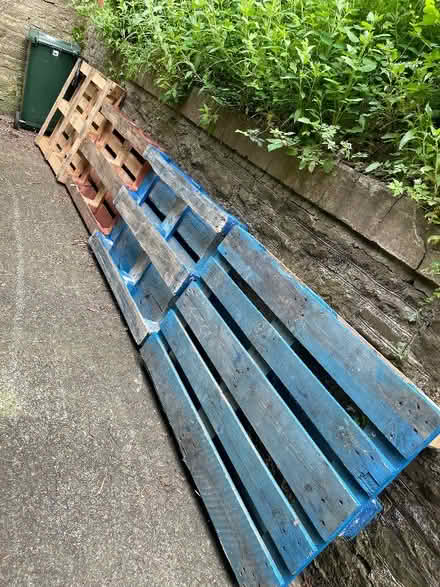 Photo of free Wooden Palletts (Newcastle SY7) #1