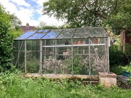 Photo of free Greenhouse (Widcombe) #1