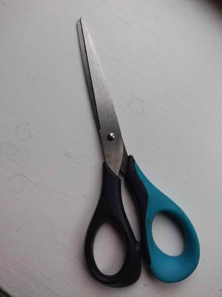 Photo of free Left-handed Scissors (Burley in Wharfedale LS29) #2