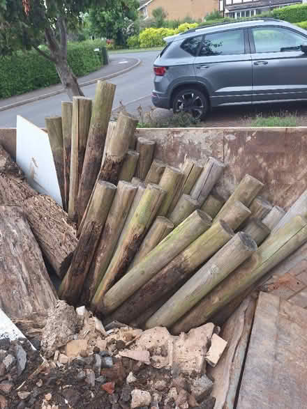 Photo of free firewood logs (Strawberry Fields CV21) #1