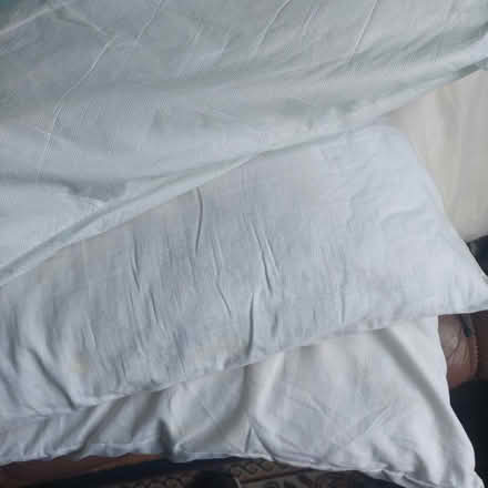 Photo of free 3 x Pillows and 1 x cushion pillow (Hertford Heath SG13) #3