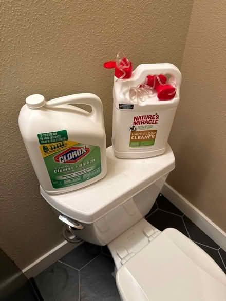 Photo of free cleaning supplies (Uptown Oakland) #1