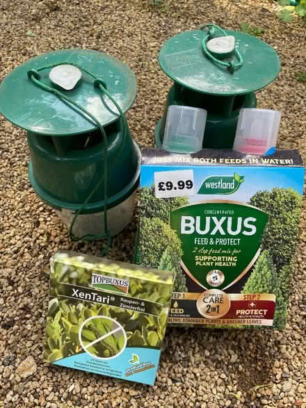 Photo of free Box-tree moth fighting kit! (London Rd, HW HP11) #1
