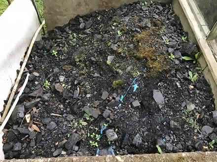 Photo of free Coal domestic (Near Blackmore CM15) #1