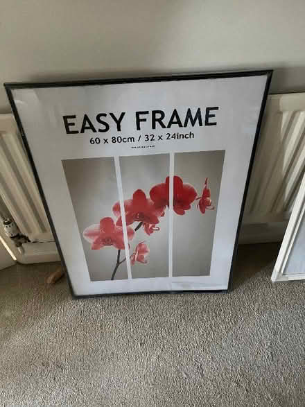 Photo of free 2 New large plastic picture frames (Old Town SN1) #3