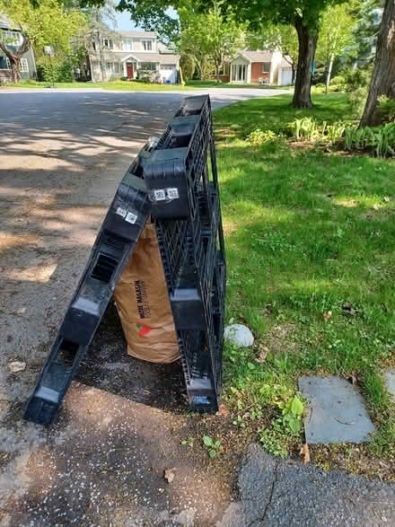 Photo of free Plastic pallets (Manor Park) #1