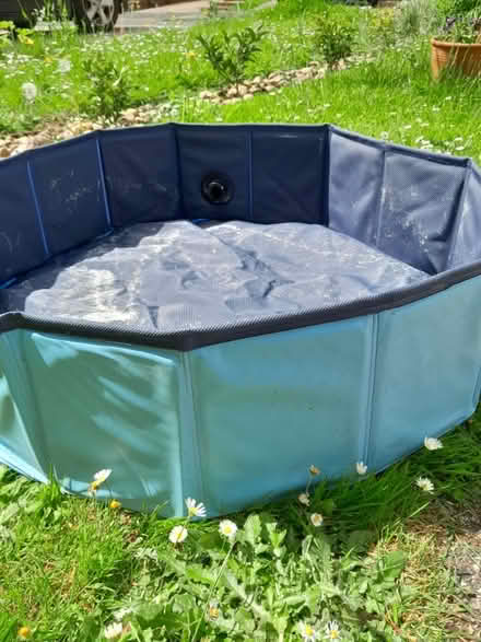 Photo of free Dog Paddling Pool. (Waterlooville PO8) #2