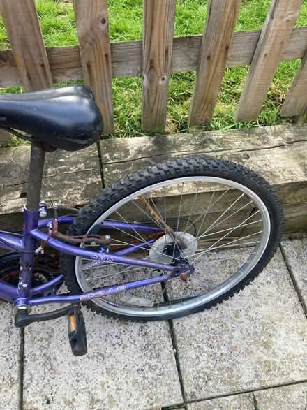 Photo of free Girls bike (Sidcup) #3