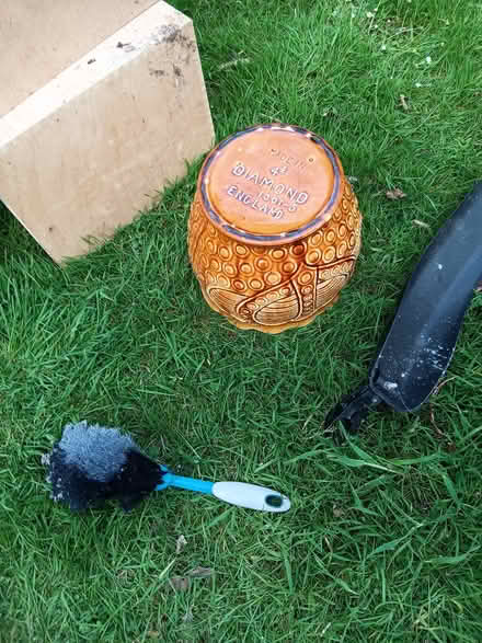 Photo of free Aspidistra pot (Holmes Chapel CW4) #1
