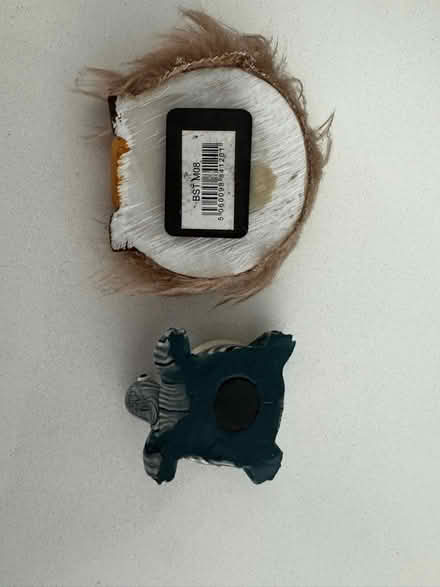 Photo of free Magnets—Scottish cow/turtle (Queen Anne) #2