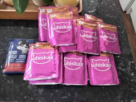 Photo of free Cat food (Hastings) #1