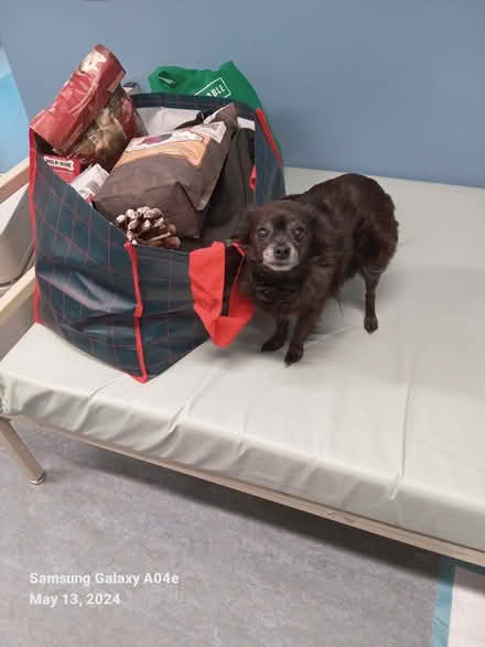 Photo of free Dog food (Downtown) #1