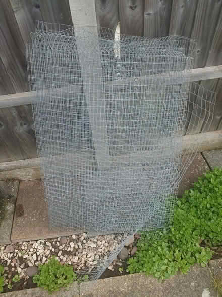 Photo of free Garden Chicken Wire (CV2) #1