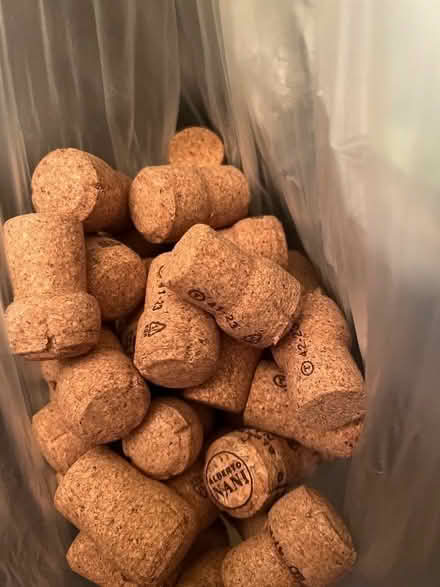 Photo of free Corks for craft (GU14) #1