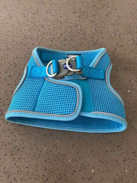 Photo of free Dog Harness (Hutton PR4) #1