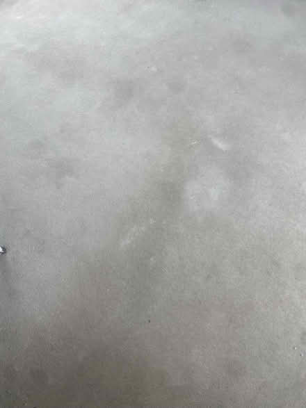 Photo of free carpet and underlay (Brimfield, Ludlow) #1