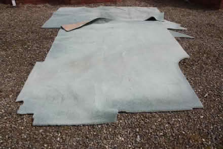 Photo of free Carpet (Brimfield SY8) #2