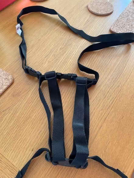Photo of free Child harness (Risinghurst OX3) #1