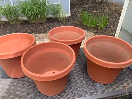 Photo of free Plastic Flower Pots (4) (Whitehouse Station) #1