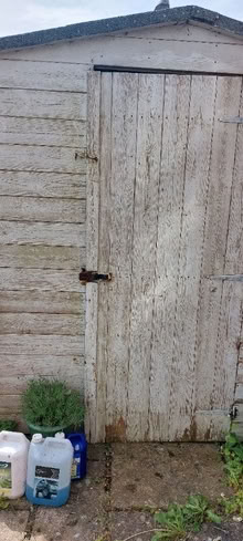 Photo of free Shed, needs roof repair, 1/2 roll of roofing felt and paint (Haswell DH6) #1