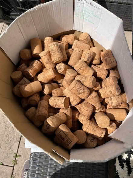Photo of free Box of corks (CM1) #1
