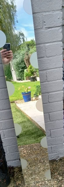 Photo of free Canvas( large) mirror and paint (Havant PO9) #3