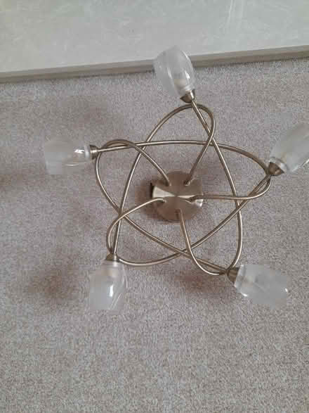 Photo of free Ceiling Light. (Hollins BL9) #2