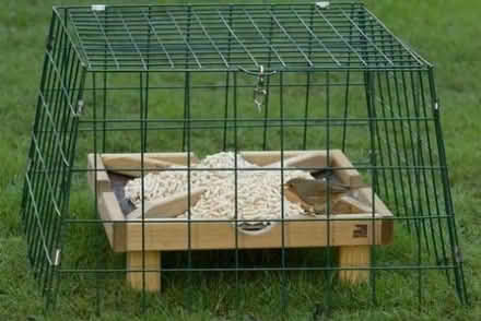 Photo of free Bird feeding sanctuary (Dunton Green) #1