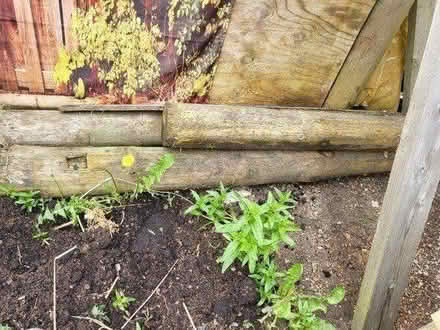 Photo of free Large wooden fence posts/poles (Houghton le spring) #2