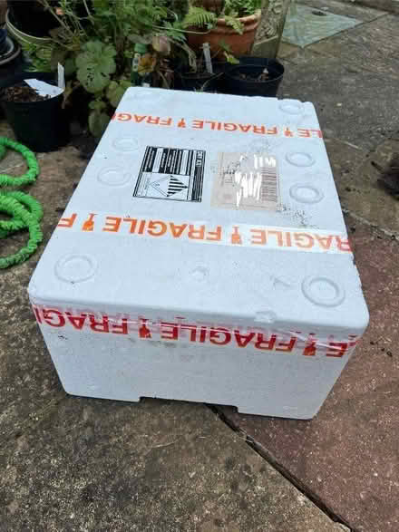 Photo of free Expanded polystyrene lidded box (Bramley Green RG26) #1