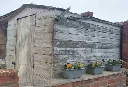 Photo of free Shed, needs roof repair, 1/2 roll of roofing felt and paint (Haswell DH6) #3