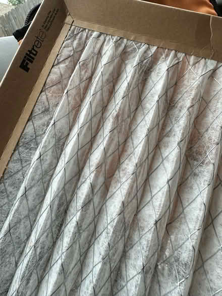 Photo of free Unused Filtrete 16x20x1 Filters (Falcon Ranch) #2