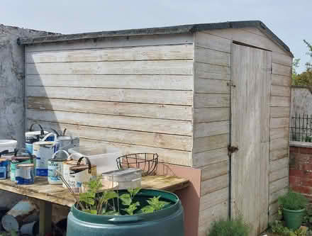 Photo of free Shed, needs roof repair, 1/2 roll of roofing felt and paint (Haswell DH6) #4