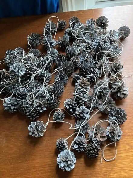 Photo of free Pine cones (Port of Wisbech PE13) #2
