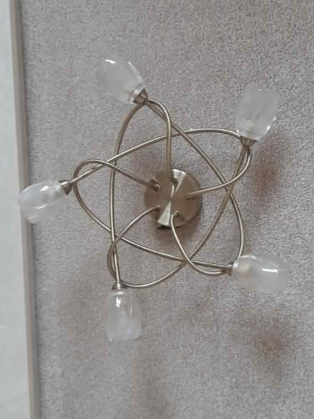 Photo of free Ceiling Light. (Hollins BL9) #1
