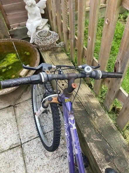 Photo of free Girls bike (Sidcup) #2