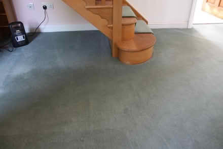 Photo of free Carpet (Brimfield SY8) #1