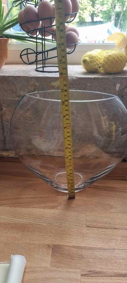 Photo of free Glass vase (Kennington OX1) #3