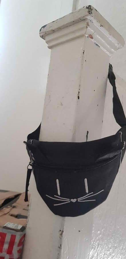 Photo of free Cat themed waist bag, unused defect (Fullwell cross) #2