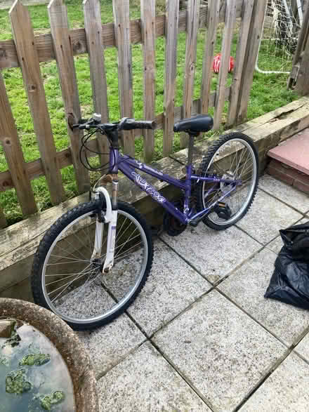 Photo of free Girls bike (Sidcup) #1