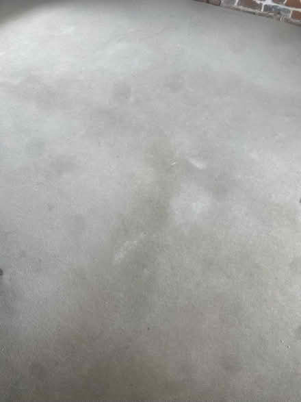 Photo of free carpet and underlay (Brimfield, Ludlow) #3