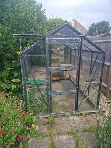 Photo of free 8 by 6ft greenhouse (Chelmsford CM1) #1