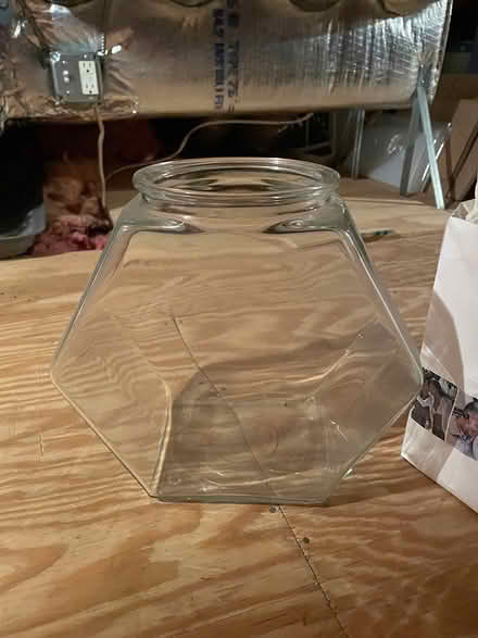 Photo of free Fish bowl (Wilmington) #2