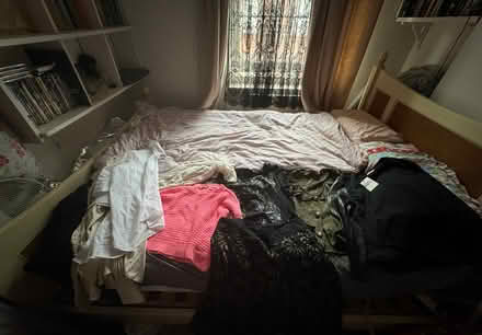 Photo of free Bundle of tops, shirts 14/16 (Camberwell SE5) #1