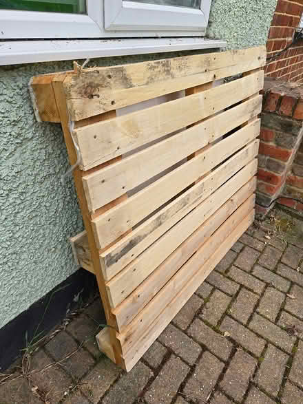 Photo of free One Wood Pallet (Chislehurst BR7) #3