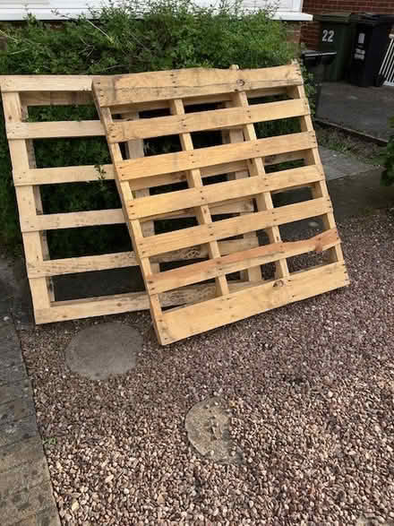 Photo of free 2 Pallets (Bradley Stoke BS32) #1