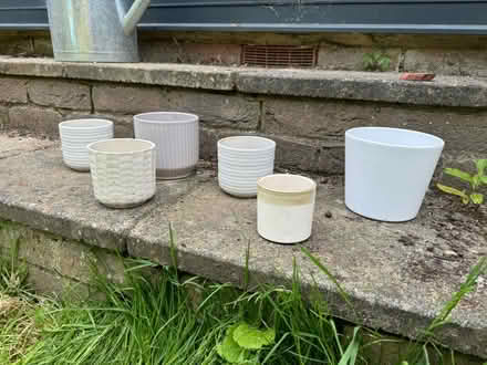 Photo of free White pots (St Albans, AL1) #1