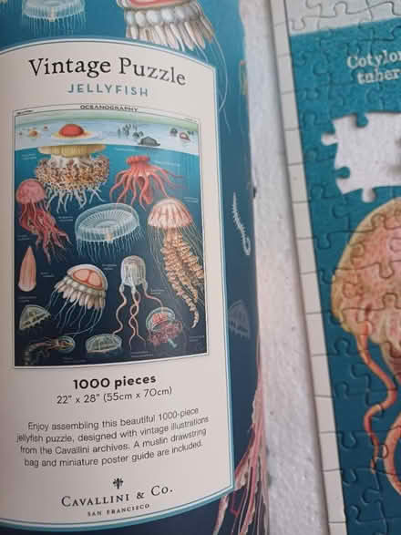 Photo of free 1,000 piece jigsaw (W12) #2